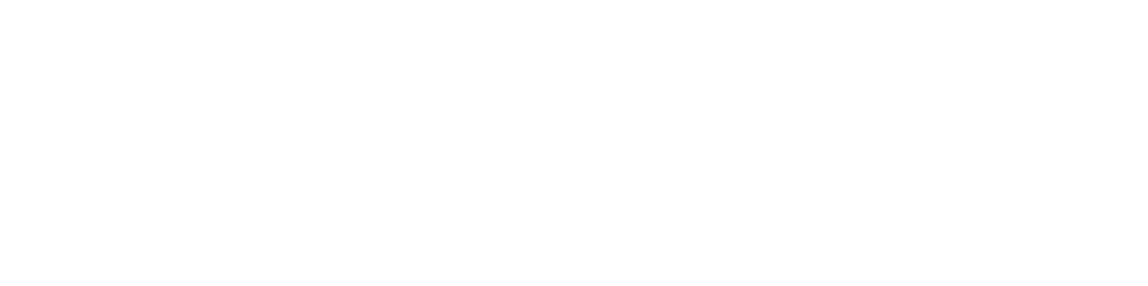 pixelforth website logo white